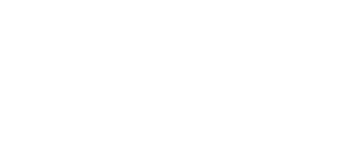 ロゴ：NASEF JAPAN